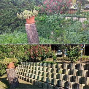 Photo de galerie - Désherbage 