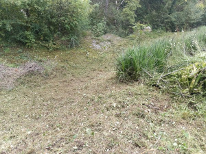 Photo de galerie - Débroussaille