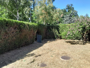 Photo de galerie - Taille de haies et d'arbustes