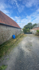 Photo de galerie - Tonte de pelouse - Débroussaillage