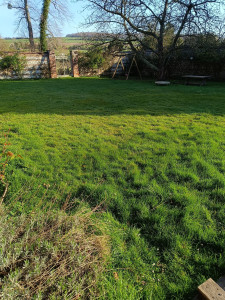 Photo de galerie - Tonte de pelouse - Débroussaillage
