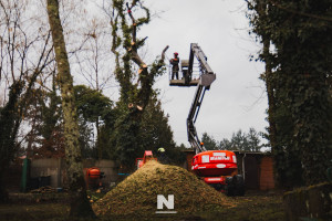 Photo de galerie - Démontage de 2 arbres au-dessus du réseau téléphonique et cabanon