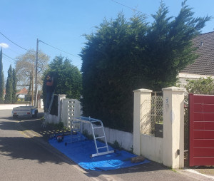 Photo de galerie - Taille de haies et d'arbustes