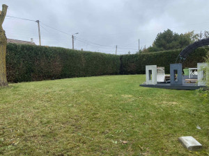 Photo de galerie - Taille de haies