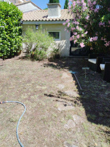 Photo de galerie - Tonte de pelouse - Débroussaillage