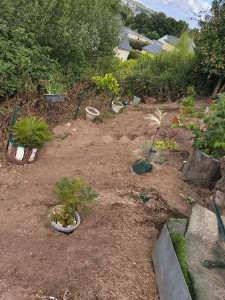 Photo de galerie - Bien dégrossi 