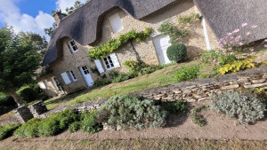 Photo de galerie - Nettoyage manuel de massif et légère taille arbustes.
