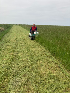 Photo de galerie - Fauchage d'herbes hautes