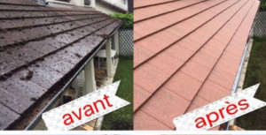 Photo de galerie - Démoulage, traitement hydrofuge Nettoyage