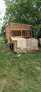 Photo de galerie - Tonte de pelouse - Débroussaillage