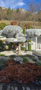 Photo de galerie - Hivernage Olivier 