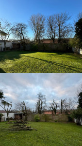 Photo de galerie - Elagage et coupe d'arbres