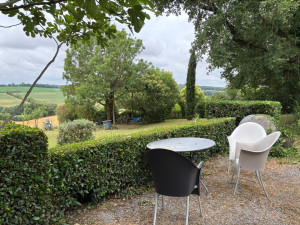 Photo de galerie - Haies droites 