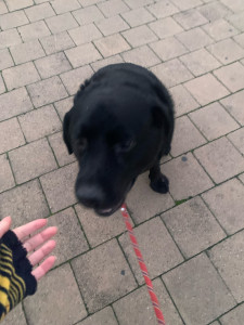 Photo de galerie - Promenades régulières 