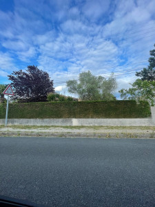 Photo de galerie - Jardinier