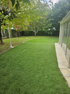 Photo de galerie - Tonte de pelouse - Débroussaillage