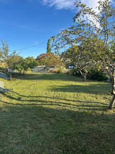 Photo de galerie - Debrousaillage 