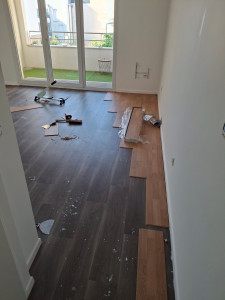 Photo de galerie - Pousse de parquet 