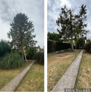 Photo de galerie - Entretien jardin 