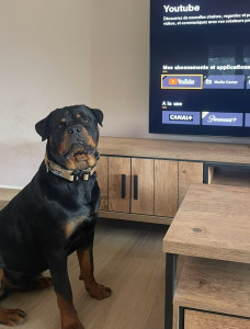 Photo de galerie - Garde au domicile de la personne 