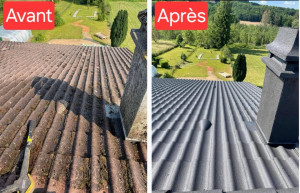 Photo de galerie - Nettoyage et application, résine hydrofuge, teinté toitures