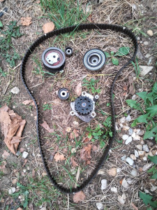 Photo de galerie - Distribution 