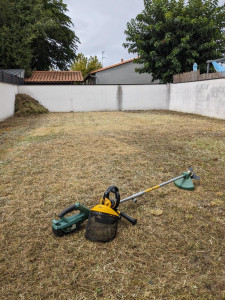 Photo de galerie - Débroussailleuse