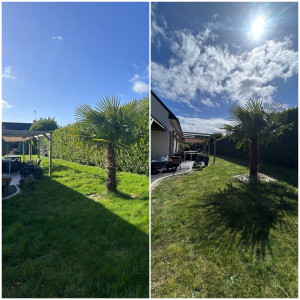 Photo de galerie - Tonte de pelouse - Débroussaillage