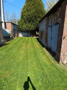 Photo de galerie - Tonte de pelouse - Débroussaillage