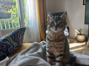 Photo de galerie - Patoune