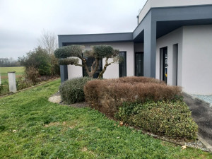 Photo de galerie - Après mon passage