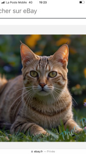 Photo de galerie - Nourrir chats et chiens et promenade chez particulier 