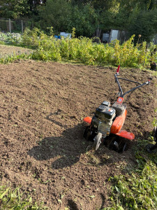 Photo de galerie - Paysagiste - Aménagement du jardin