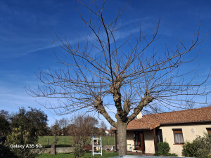 Photo de galerie - Avant 