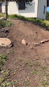 Photo de galerie - Après avoir arracher le buisson