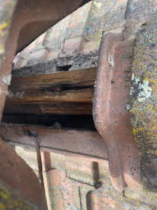 Photo de galerie - Couverture - Toiture