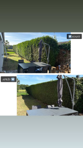 Photo de galerie - Elagage et coupe d'arbres