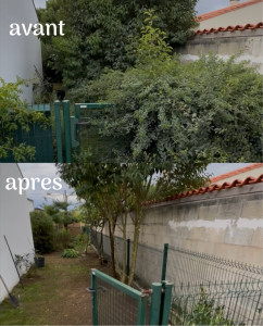 Photo de galerie - Paysagiste - Aménagement du jardin