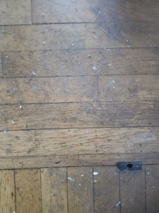 Photo de galerie - Parquet non nettoyer depuis 5 ans
