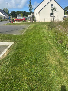 Photo de galerie - Tonte d’un lotissement 