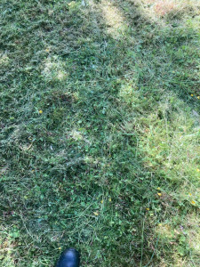 Photo de galerie - Avant intervention secteur Egreville 77