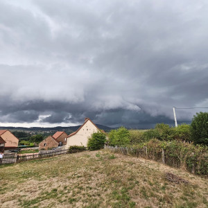 Photo de galerie - Tonte de terrain 