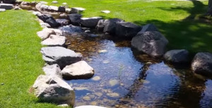 Photo de galerie - Paysagiste - Aménagement du jardin