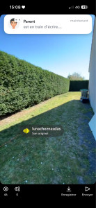 Photo de galerie - Taille fini avec ramassage 