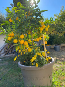 Photo de galerie - Jardinier