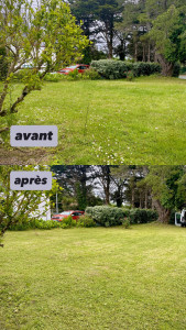 Photo de galerie - Tonte de pelouse
