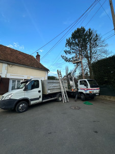Photo de galerie - Abattage d’arbres avec Camion , nacelle 