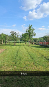 Photo de galerie - Paysagiste - Aménagement du jardin