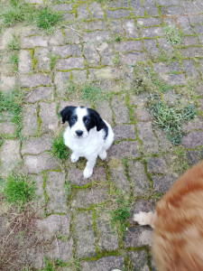 Photo de galerie - Kayamb 