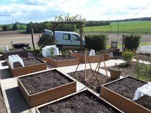 Photo de galerie - Réalisation d'un potager